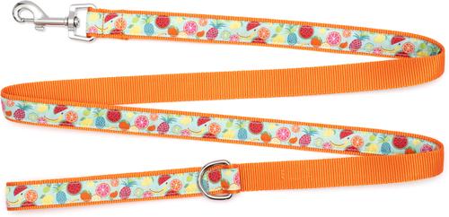 Show full view: The Worthy Dog Tutti Frutti Dog Leash, Blue, Small: 5-ft long, 5/8-in wide slide 2 of 4