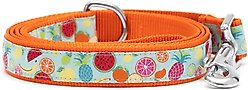 The Worthy Dog Tutti Frutti Dog Leash, Blue, Small: 5-ft long, 5/8-in wide