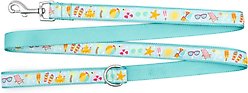 The Worthy Dog Life's a Beach Dog Leash, Mint Green, Large: 5-ft long, 1-in wide slide 2 of 3