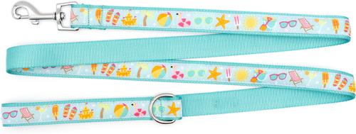 Show full view: The Worthy Dog Life's a Beach Dog Leash, Mint Green, Large: 5-ft long, 1-in wide slide 2 of 3