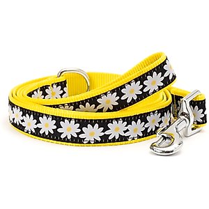 The Worthy Dog Lazy Daisy Dog Leash, Black, Large: 5-ft long, 1-in wide