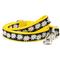 Show in main carousel: The Worthy Dog Lazy Daisy Dog Leash, Black, Small: 5-ft long, 5/8-in wide slide 1 of 3