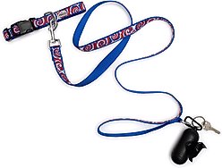 The Worthy Dog Kaleidoscope Dog Leash, Red/White/Blue, Small: 5-ft long, 5/8-in wide slide 2 of 4