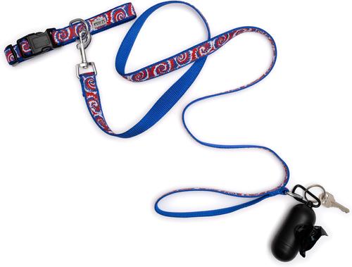 Show full view: The Worthy Dog Kaleidoscope Dog Collar, Red/White/Blue, X-Large: 17 to 23-in neck, 1-in wide slide 4 of 4