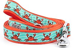 The Worthy Dog Crabs Dog Leash, Teal, Small: 5-ft long, 5/8-in wide