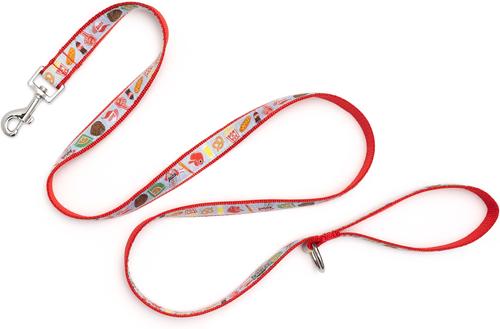 Show full view: The Worthy Dog Home Run Dog Leash, Blue, Small: 5-ft long, 5/8-in wide slide 3 of 3