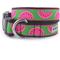 Show in main carousel: The Worthy Dog Watermelon Dog Collar, Green, Medium: 11 to 17-in neck, 1-in wide slide 1 of 3