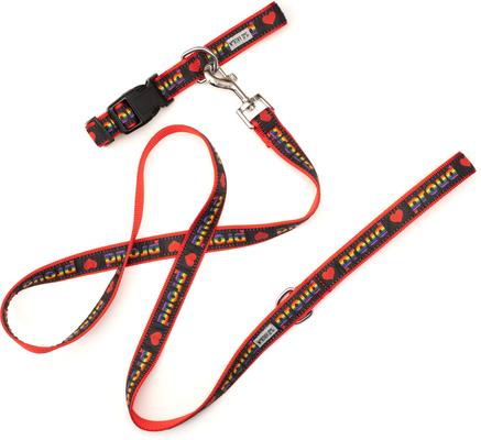 Show full view: The Worthy Dog Proud Dog Collar, Black Multicolored, Small: 8 to 14-in neck, 5/8-in wide slide 3 of 3