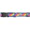 Show in main carousel: The Worthy Dog Rainbow Dog Collar, Multicolored, Medium: 11 to 17-in neck, 1-in wide slide 3 of 4