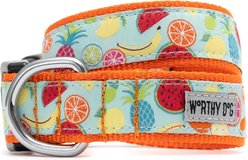 The Worthy Dog Tutti Frutti Dog Collar, Blue, Large: 14 to 20-in neck, 1-in wide