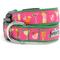 Show in main carousel: The Worthy Dog Summer Cheer Dog Collar, Fuchsia, Medium: 11 to 17-in neck, 1-in wide slide 1 of 3