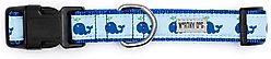 The Worthy Dog Squirt Dog Collar, Blue, Medium: 11 to 17-in neck, 1-in wide slide 2 of 3