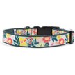 The Worthy Dog Spring Bouquet Dog Collar