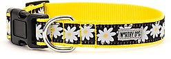 The Worthy Dog Lazy Daisy Dog Collar, Black, Large: 14 to 20-in neck, 1-in wide slide 2 of 4