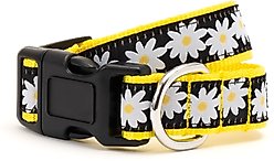 The Worthy Dog Lazy Daisy Dog Collar, Black, X-Large: 17 to 23-in neck, 1-in wide