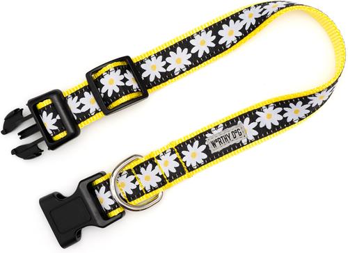Show full view: The Worthy Dog Lazy Daisy Dog Collar, Black, Small: 8 to 14-in neck, 5/8-in wide slide 4 of 4