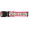 Show in main carousel: The Worthy Dog Pickleball Dog Collar, Pink, Medium: 11 to 17-in neck, 1-in wide slide 4 of 5