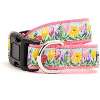 The Worthy Dog The Worthy Dog Hello Spring Dog Collar, Blue, Medium: 11 to 17-in neck, 1-in wide