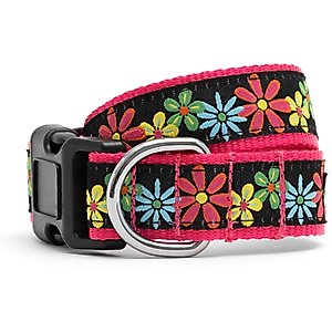 The Worthy Dog Blossoms Dog Collar, Black, Large: 14 to 20-in neck, 1-in wide