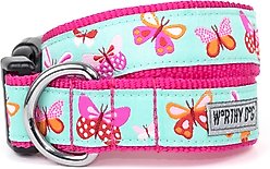 The Worthy Dog Butterflies Dog Collar, Pale Blue, Large: 14 to 20-in neck, 1-in wide