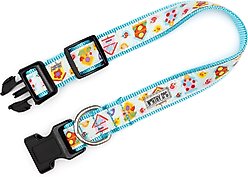 The Worthy Dog Birdhouses Dog Collar, Blue, Medium: 11 to 17-in neck, 1-in wide slide 2 of 4