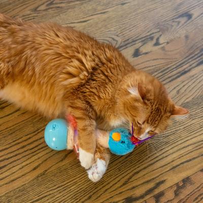 Show full view: Catstages Electronic Dancing Ostrich Interactive Plush Cat Toy, Blue slide 6 of 8