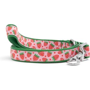 The Worthy Dog Strawberries Dog Leash, Pink, Small: 5-ft long, 5/8-in wide