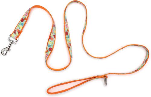 Show full view: The Worthy Dog Tutti Frutti Dog Leash, Blue, Small: 5-ft long, 5/8-in wide slide 3 of 4