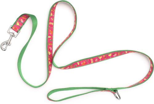 Show full view: The Worthy Dog Summer Cheer Dog Leash, Fuchsia, Large: 5-ft long, 1-in wide slide 3 of 3
