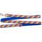 Show in main carousel: The Worthy Dog Rainbow Dog Leash, Multicolored, Large: 5-ft long, 1-in wide slide 4 of 4