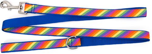 Show full view: The Worthy Dog Rainbow Dog Leash, Multicolored, Large: 5-ft long, 1-in wide slide 4 of 4