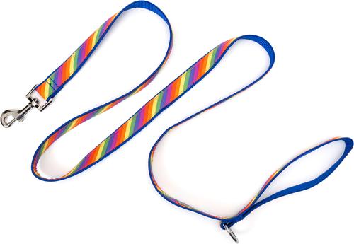 Show full view: The Worthy Dog Rainbow Dog Leash, Multicolored, Large: 5-ft long, 1-in wide slide 3 of 4