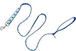 The Worthy Dog Squirt Dog Leash, Blue, Small: 5-ft long, 5/8-in wide slide 2 of 3