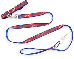 The Worthy Dog Preppy Bones Dog Leash, Red/White/Blue, Small: 5-ft long, 5/8-in wide slide 2 of 5