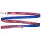 Show in main carousel: The Worthy Dog Preppy Bones Dog Leash, Red/White/Blue, Small: 5-ft long, 5/8-in wide slide 4 of 5
