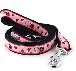 The Worthy Dog Ladybug Dog Leash, Pink, Small: 5-ft long, 5/8-in wide