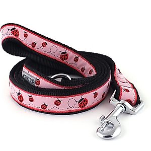 The Worthy Dog Ladybug Dog Leash, Pink, Small: 5-ft long, 5/8-in wide
