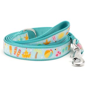 The Worthy Dog Life's a Beach Dog Leash, Mint Green, Large: 5-ft long, 1-in wide