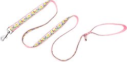 The Worthy Dog Hello Spring Dog Leash, Blue, Small: 5-ft long, 5/8-in wide slide 2 of 3