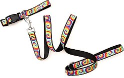 The Worthy Dog Kaleidoscope Dog Collar, Multicolored, Small: 8 to 14-in neck, 5/8-in wide slide 2 of 3