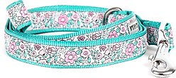 The Worthy Dog Garden Party Dog Leash, Pink, Small: 5-ft long, 5/8-in wide