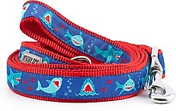 The Worthy Dog Chomp Dog Leash, Blue, Small: 5-ft long, 5/8-in wide slide 1 of 3