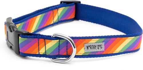 Show full view: The Worthy Dog Rainbow Dog Collar, Multicolored, Medium: 11 to 17-in neck, 1-in wide slide 4 of 4