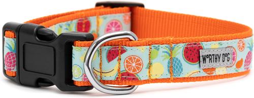 Show full view: The Worthy Dog Tutti Frutti Dog Collar, Blue, Medium: 11 to 17-in neck, 1-in wide slide 2 of 4