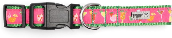 The Worthy Dog Summer Cheer Dog Leash