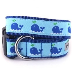 The Worthy Dog Squirt Dog Collar, Blue, Medium: 11 to 17-in neck, 1-in wide