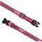 Show in main carousel: The Worthy Dog Preppy Bones Dog Collar, Red/White/Blue, Large: 14 to 20-in neck, 1-in wide slide 4 of 5