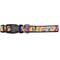 Show in main carousel: The Worthy Dog Kaleidoscope Dog Collar, Multicolored, Large: 14 to 20-in neck, 1-in wide slide 2 of 3