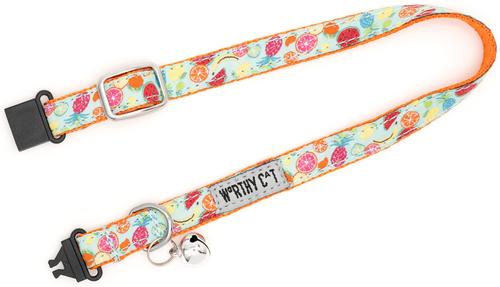 Show full view: The Worthy Dog Tutti Frutti Cat Collar, Blue, 9 to 11-in neck, 1/2-in wide slide 3 of 3
