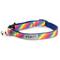 Show in main carousel: The Worthy Dog Rainbow Cat Collar, Multicolored, 9 to 11-in neck, 1/2-in wide slide 1 of 4